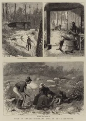 Gold in Canada, Emigrant Life in the Backwoods